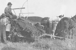 FRM.threshing01 FRM.threshing01