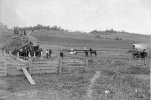 Farm Scene 02 Farm Scene 02